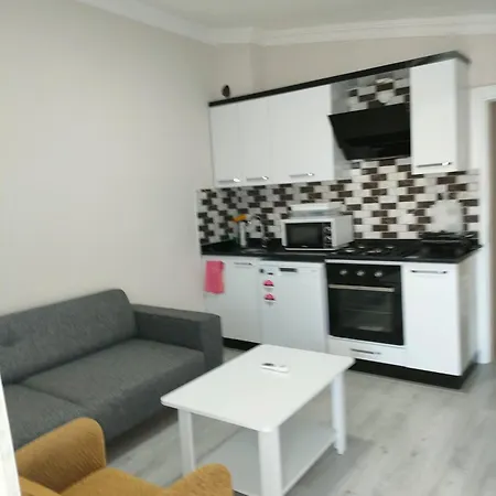 Apartment Ozmen House *